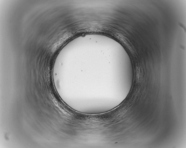 X0000102270677200808151905