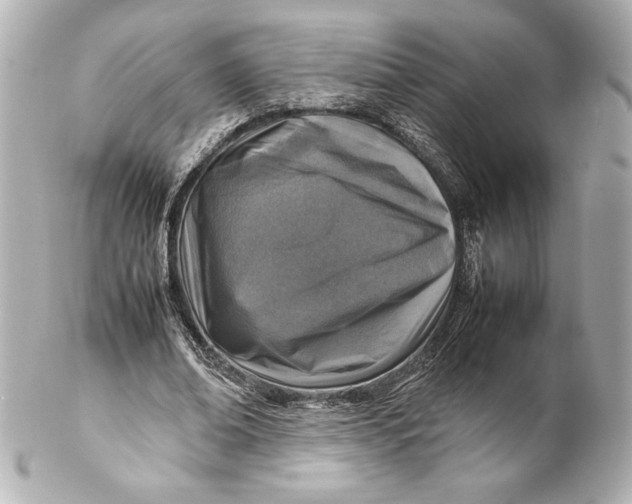 X0000102270678200808151905