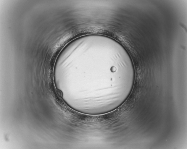 X0000102270679200808151905