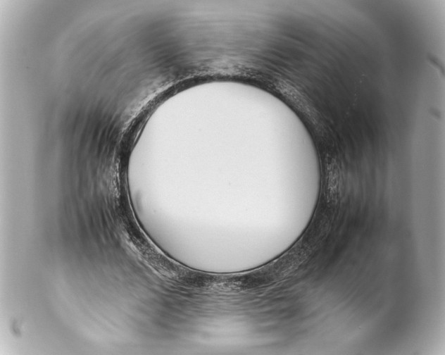 X0000102270680200808151905