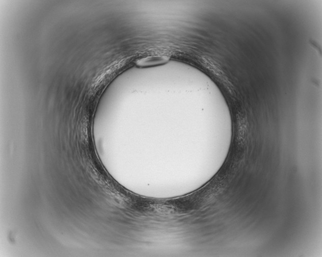 X0000102270681200808151905