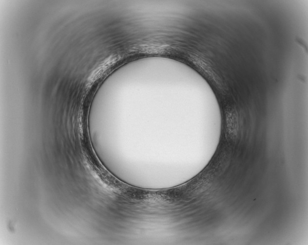 X0000102270682200808151905