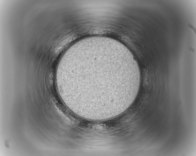 X0000102270683200808151905