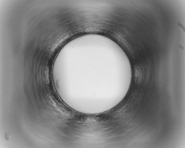 X0000102270684200808151905