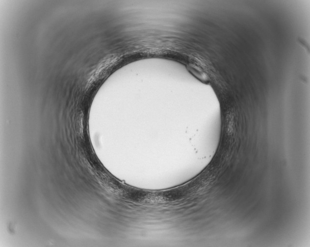 X0000102270685200808151905