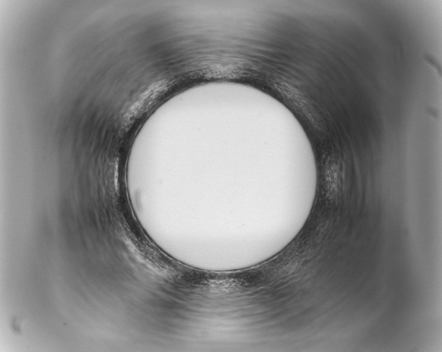 X0000102270686200808151905