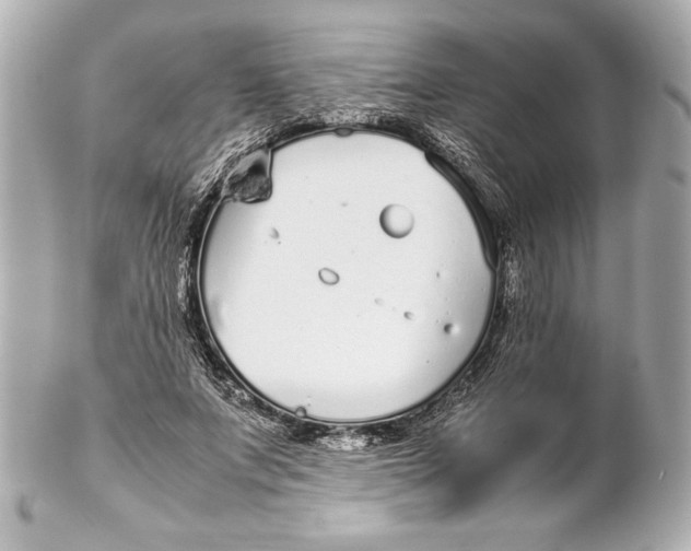 X0000102270687200808151905