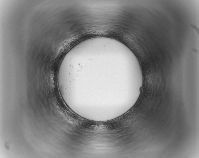 X0000102270688200808151905