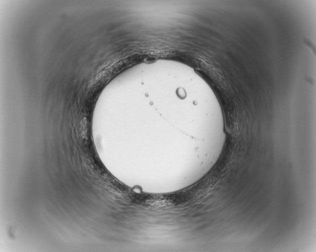 X0000102270689200808151905