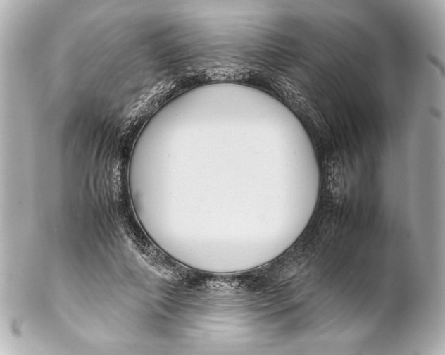 X0000102270690200808151905