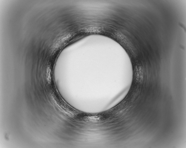 X0000102270692200808151905