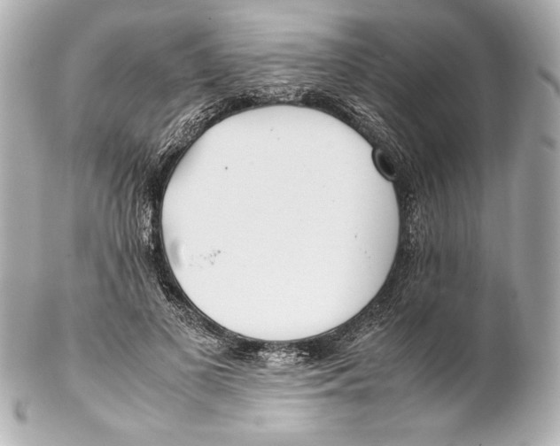 X0000102270693200808151905