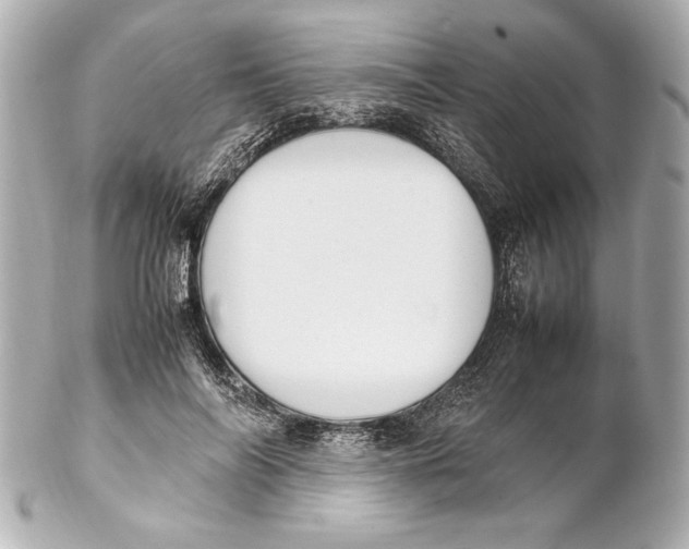 X0000102270694200808151905