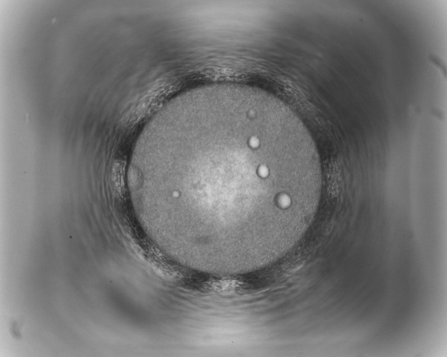 X0000102270695200808151905