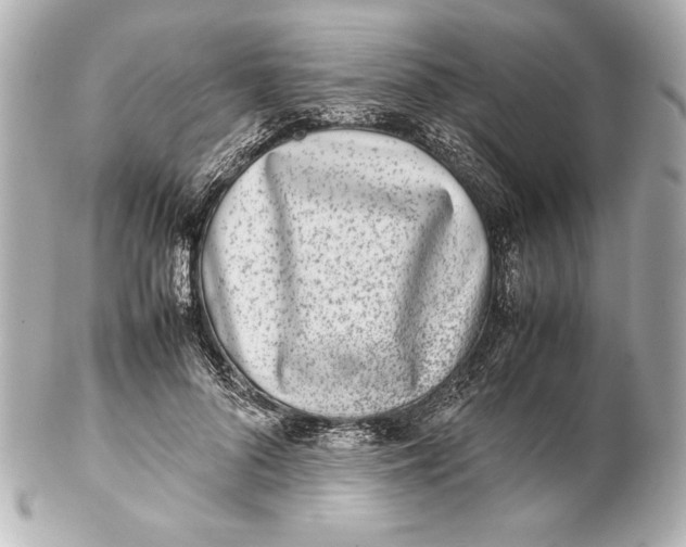 X0000102270696200808151905