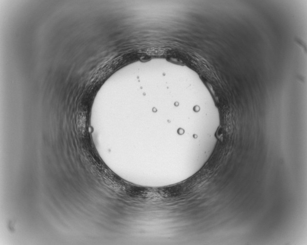 X0000102270697200808151905