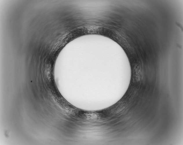 X0000102270698200808151905