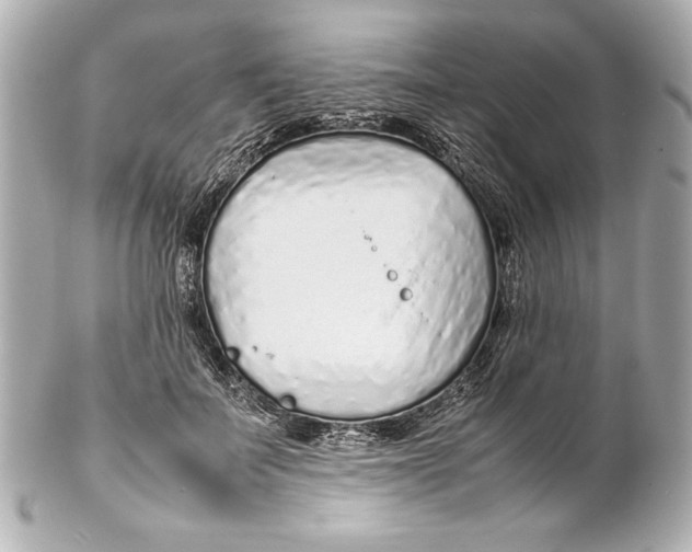 X0000102270699200808151905