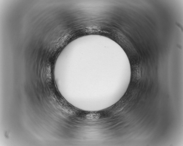 X0000102270700200808151905