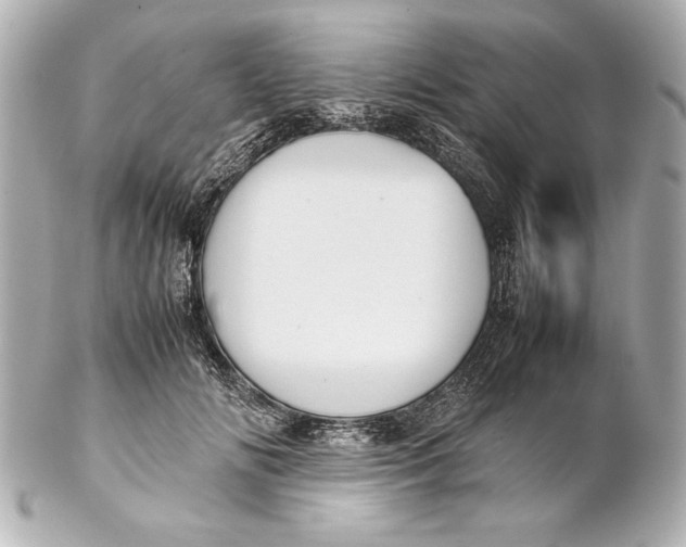 X0000102270702200808151905