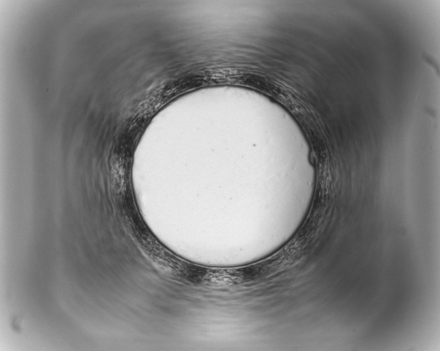 X0000102270703200808151905