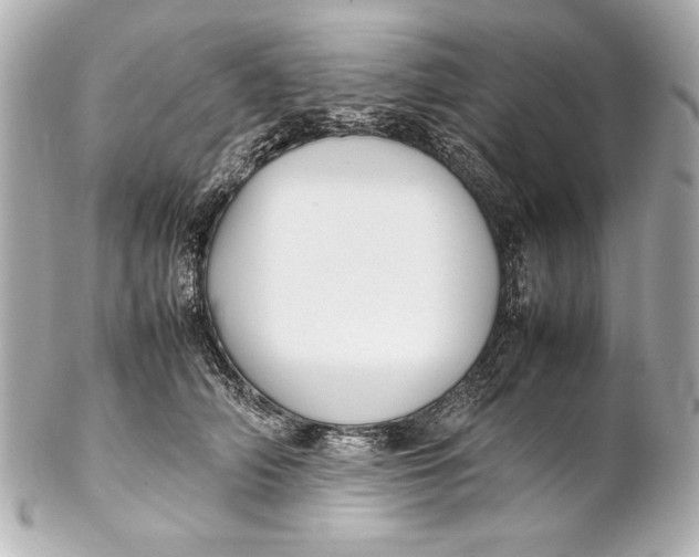 X0000102270706200808151905