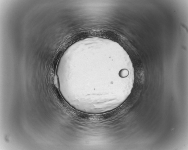 X0000102270707200808151905