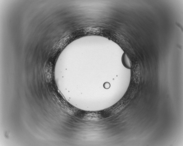 X0000102270708200808151905