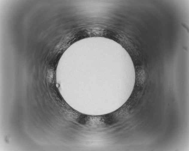 X0000102270709200808151905