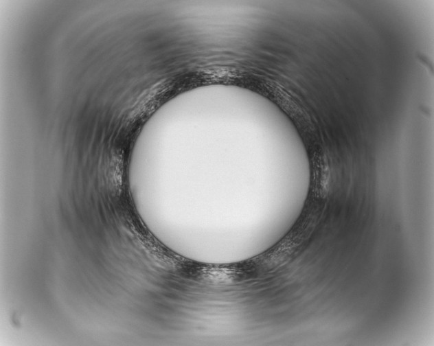 X0000102270710200808151905