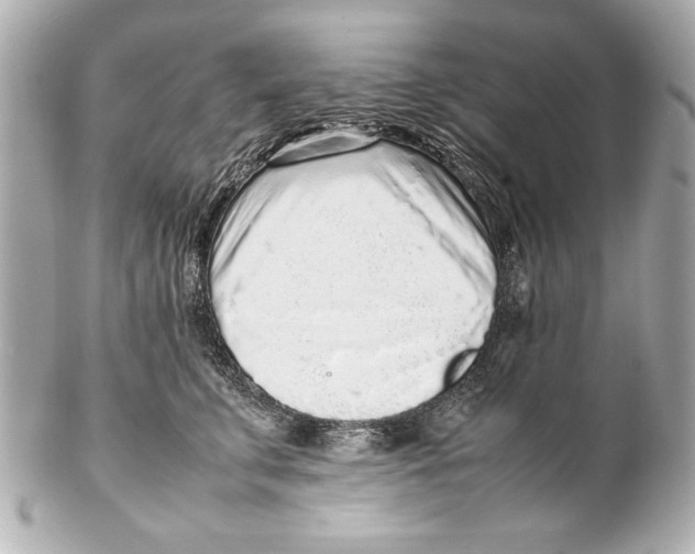 X0000102270711200808151904