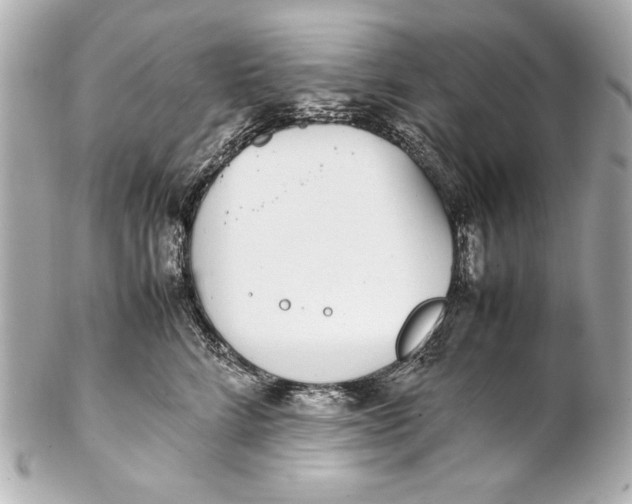 X0000102270712200808151904