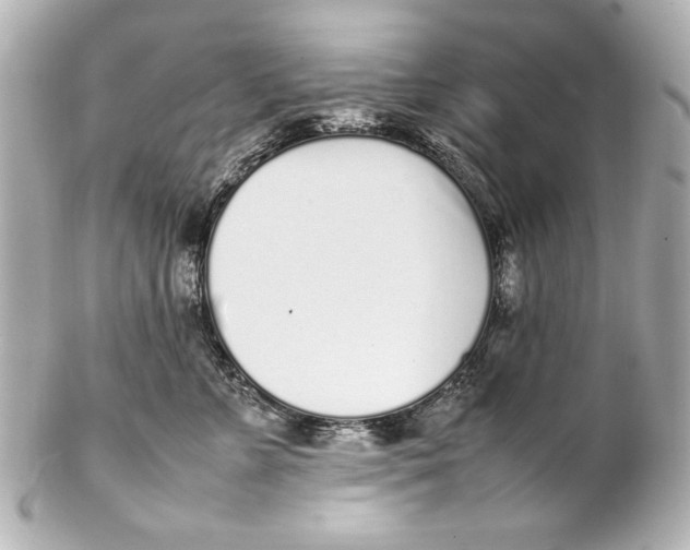 X0000102270715200808151904