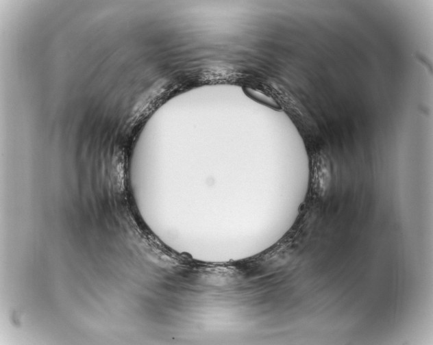 X0000102270716200808151904