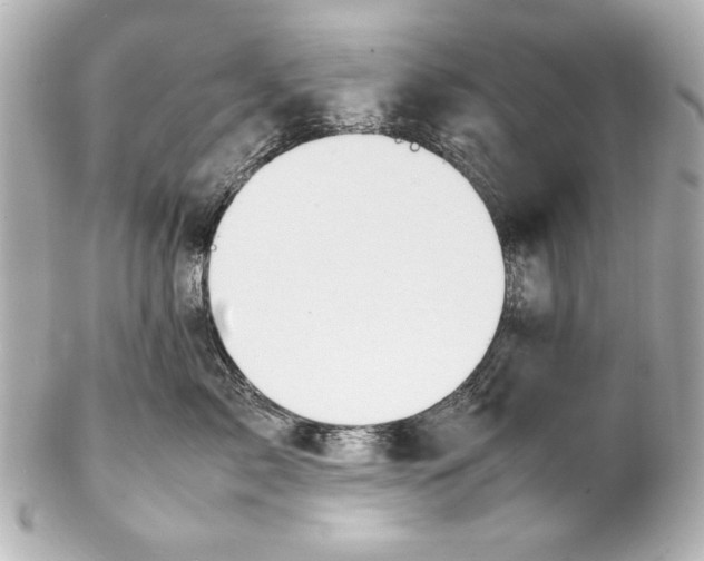 X0000102270717200808151904