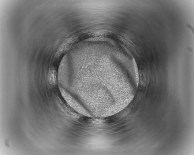 X0000102270718200808151904