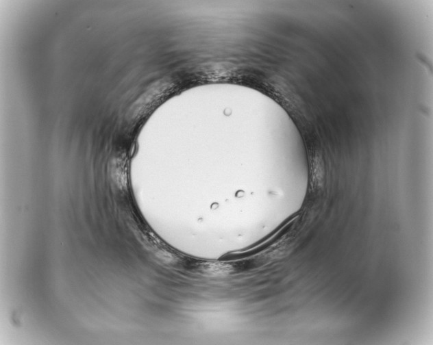 X0000102270719200808151904