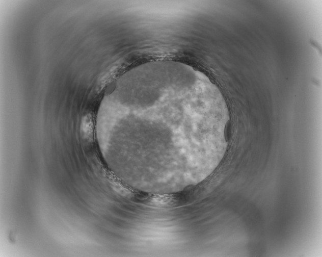 X0000102270720200808151904