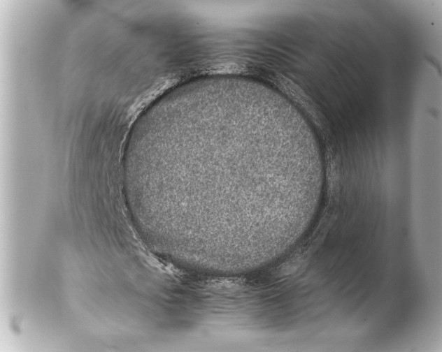 X0000102270721200808151904