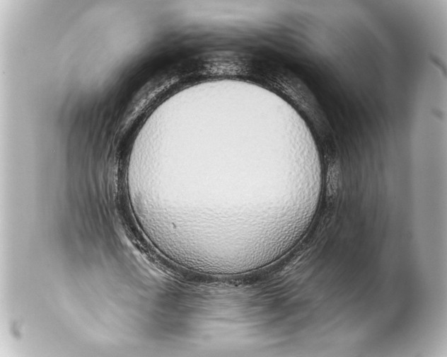 X0000102270722200808151904