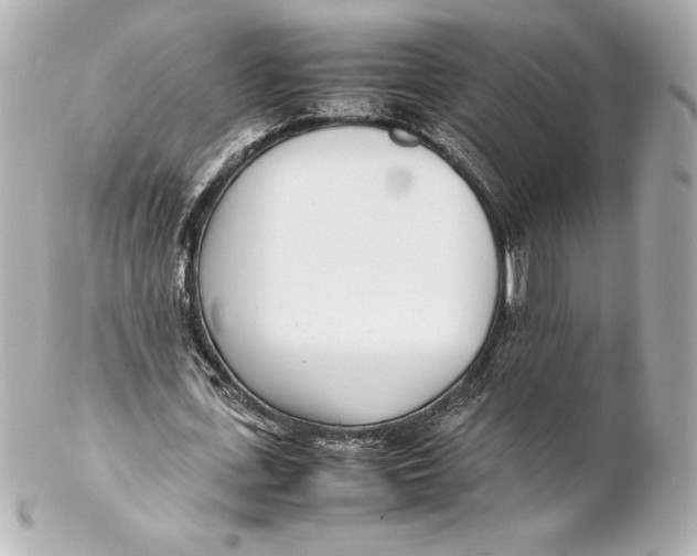 X0000102270723200808151904