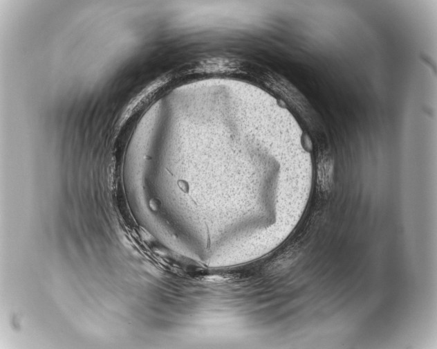 X0000102270724200808151904