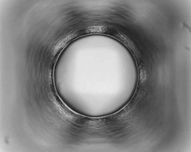 X0000102270725200808151904