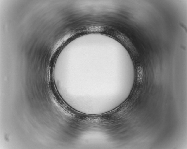 X0000102270726200808151904