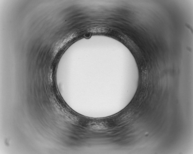 X0000102270727200808151904