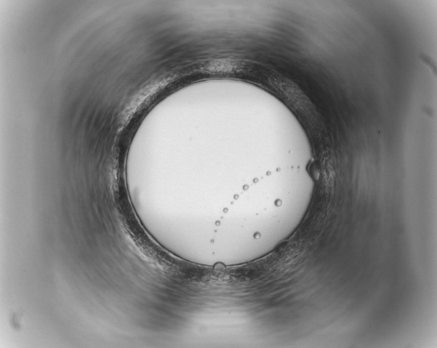 X0000102270728200808151904