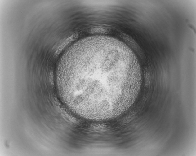 X0000102270729200808151904