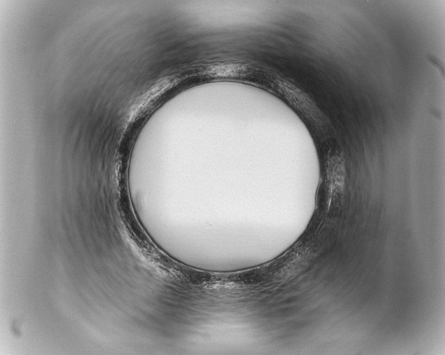 X0000102270730200808151904