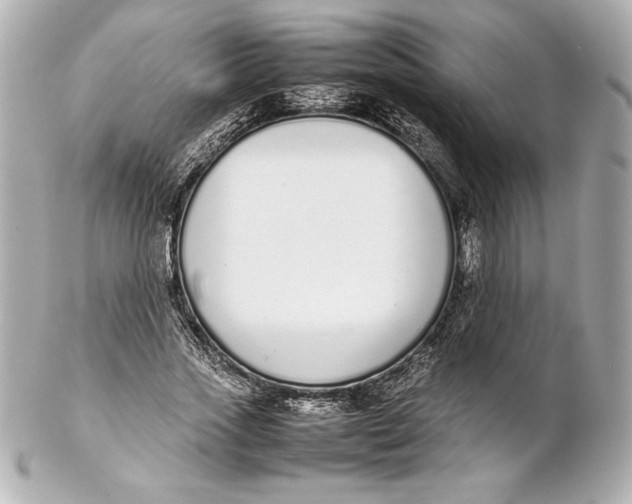 X0000102270733200808151904