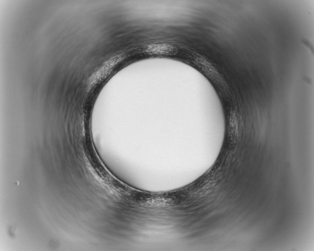 X0000102270734200808151904